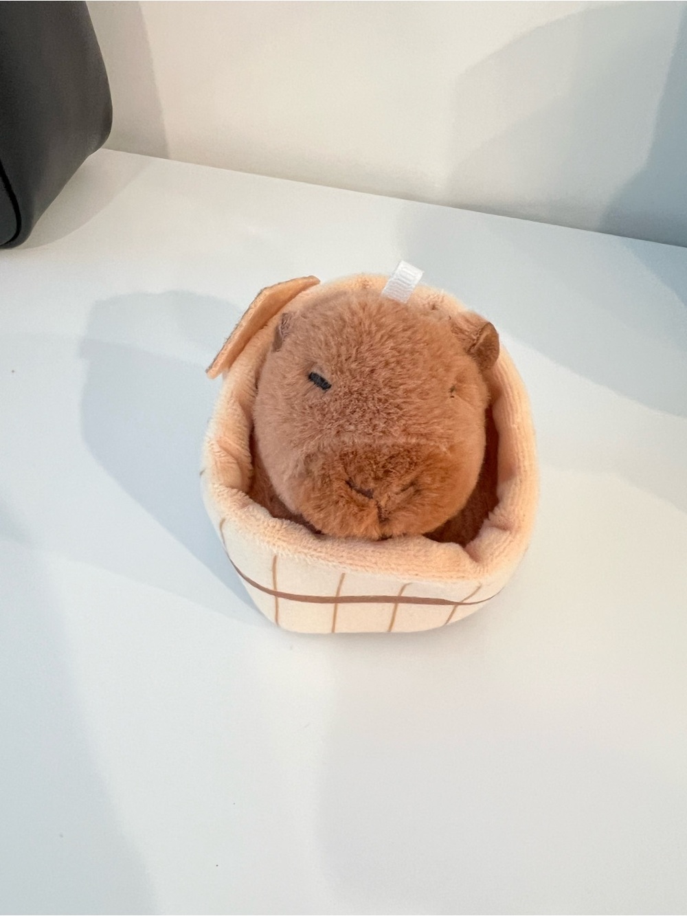 Capybara keychain